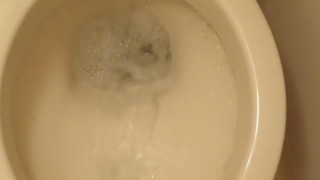 Flushing the toilet, after pissing!