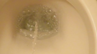 Flushing the toilet, after pissing!