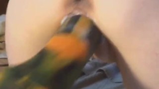 Dripping cream hot milf pussy getting spread by XL Mr Hankeys rentboy on fuckmachine 