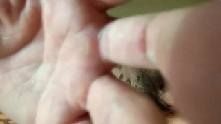 [Masochistic] Sexual habits of a Japanese idol!! [Tokyo Sex Olympics held! ]