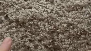 another thick piss stream hits my carpet