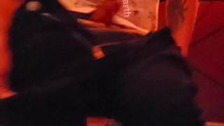 Rainbow Lights Entertainment with Noah Harth 