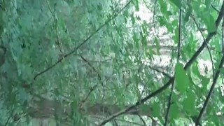 В лес мы ходим не только за грибами, но и за оргазмами - lesbian_illusion