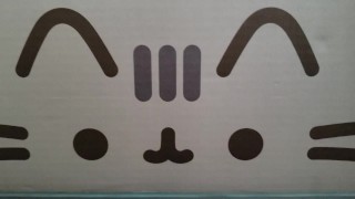 Izno box