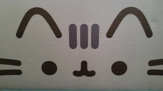 Izno box
