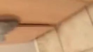 cum soup