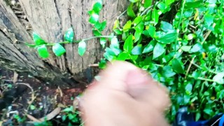 Dan ganas en el bosque 