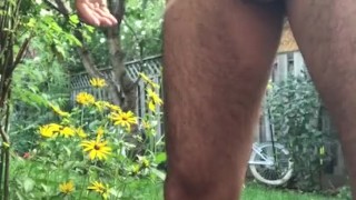 Piss fetish from a fully shaved hard cock 