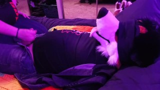 Caged puppy gets tied up, blindfolded, and teased 