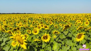 Fertility goddess caresses her pussy in a sunflower field