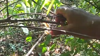 Outdoor video nude
