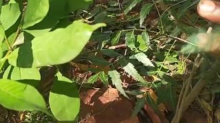 Outdoor reaction