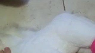 UNICORN Trampling