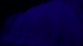 Black Light Touching 