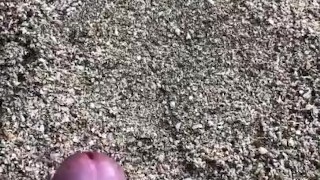  Quick Cashew NUT on the beautiful beach 