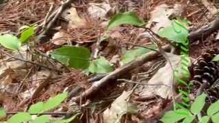 Peeing on a MTB trail 
