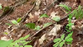 Peeing on a MTB trail 