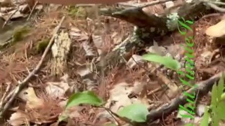 Peeing on a MTB trail 