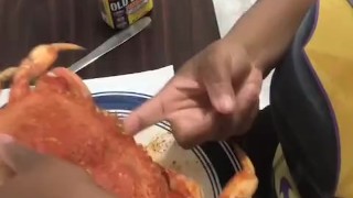 Eating a big crab 