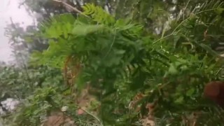 Forest fuck