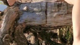 Peeing from a tree