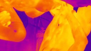 Thermal Camera Porn