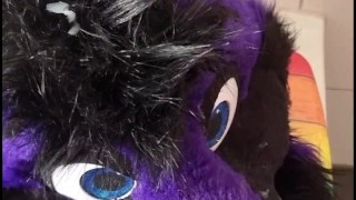 Lucer painting again 