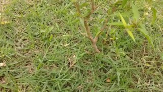 Outdoor hard fuck