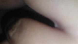 Soy para ustedes mis amores