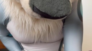 A horny lynx jerks off in his petsuit