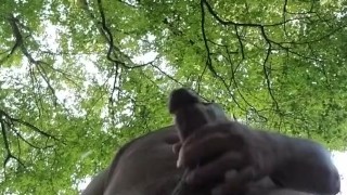 View from below.