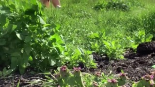 FUCKING MY ASS WITH DILDO IN PUBLIC (MOTEL WINDOW THEN IN A FIELD)