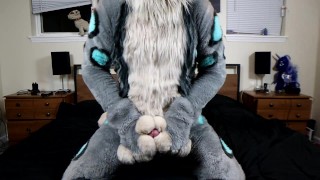 A pent up Lynx pawing off