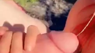 Swallows monster cock 