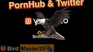 Sloppy Blow Job on the Couch 