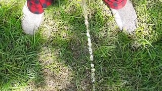 Outside pissing with bbq next door