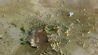 Cleaning up after making custom request 