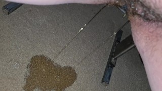 Peeing on the carpet
