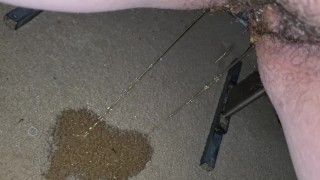 Peeing on the carpet