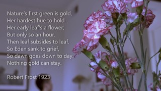 Asian porn couple Tyler Wu and Dane Jaxson in bareback love