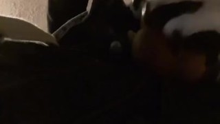 Horny collie murrsuit jerks off and cums hands free