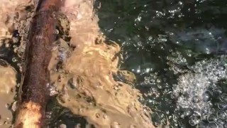 natural toes in the water