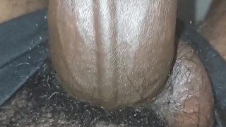 Tuesday frisky 11:44am