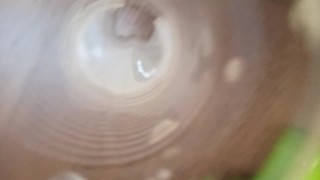 Alpha master cum