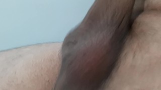 Arxidia Gemata Me Sperma
