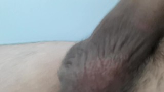 Arxidia Gemata Me Sperma