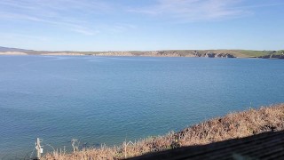 Bearito and Burrito by the Sea