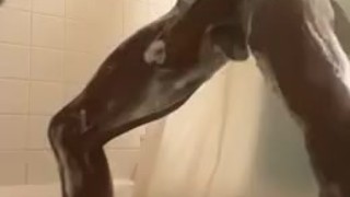 Soapy Jacker Shower Show - Dontiki