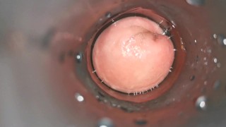 Gaping my asshole to a rosebud with a anal plug tunnel ( Hollow plug ) | Horsengine
