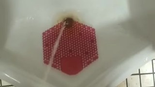 Here's some pee for you fetish freaks . 